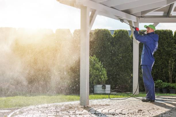 Best Sidewalk and Walkway Cleaning  in Ferriday, LA